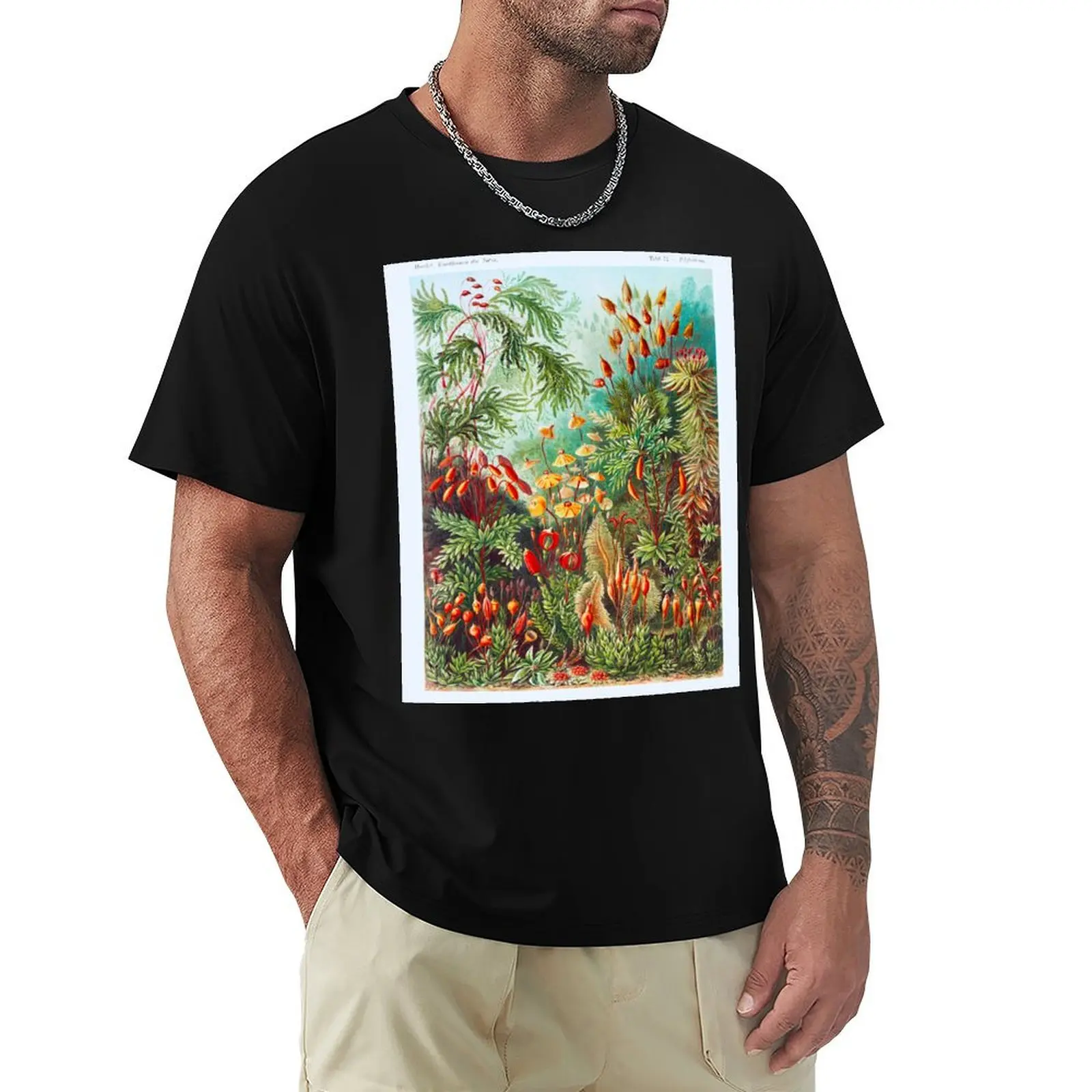 Muscinae–Laubmoose / A. Giltsch, gem from Kunstformen der Natur (1904) by Ernst Haeckel. Original from Library of Congre T-Shirt
Muscinae–Laubmoose / A. Giltsch, gem from Kunstformen der Natur (1904) by Ernst Haeckel. Original from Library of Congre T-Shirt