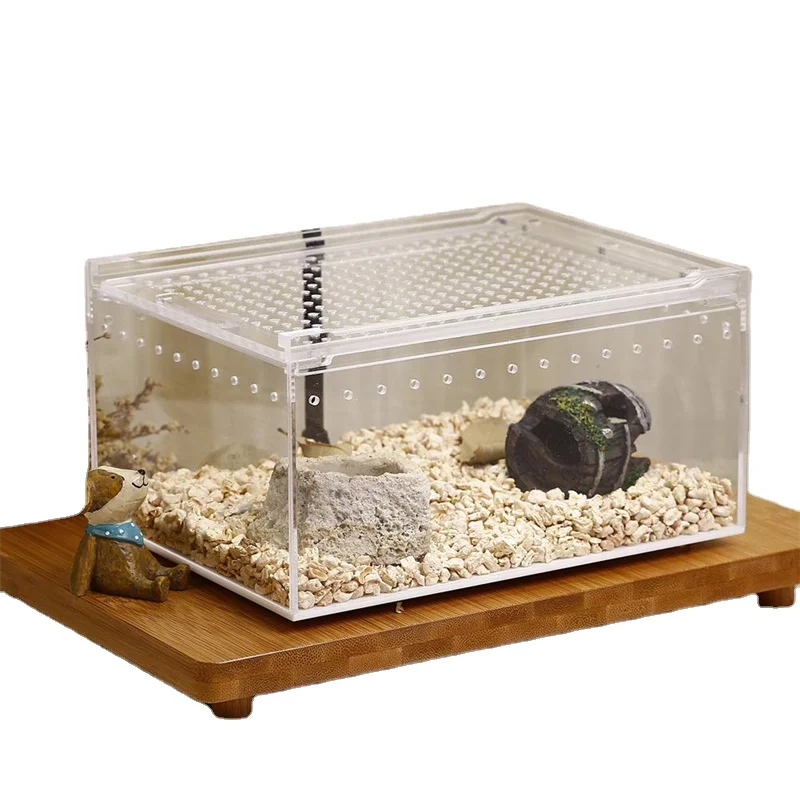 Magnetic Clear Acrylic Mini Cripper Keeper Reptile Breeding Box for Tarantula Scorpion Sling Isopods Invertebrates Mantis Spider
Magnetic Clear Acrylic Mini Cripper Keeper Reptile Breeding Box for Tarantula Scorpion Sling Isopods Invertebrates Mantis Spider