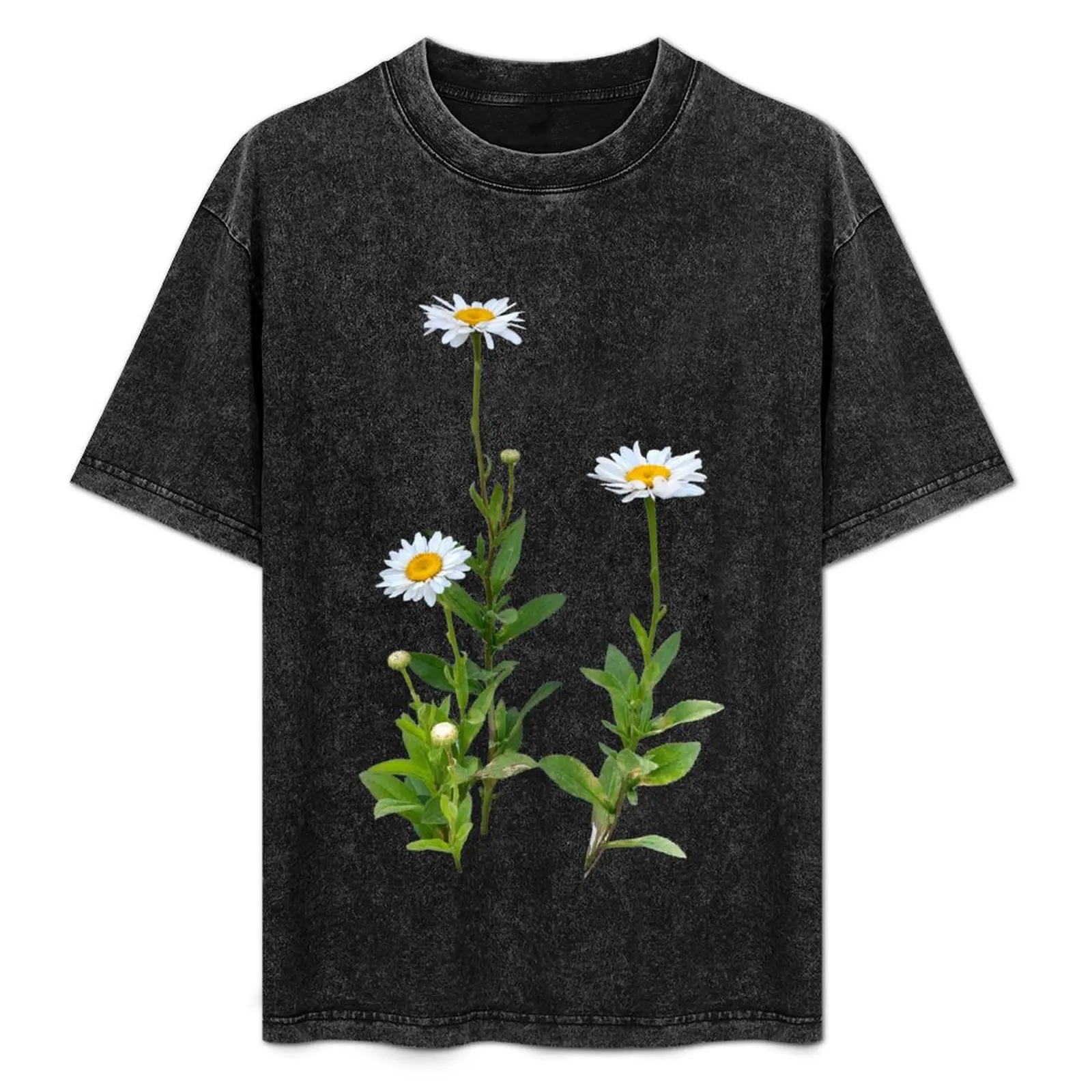 wild daisies T-Shirt Work Style Casual T-Shirt
wild daisies T-Shirt Work Style Casual T-Shirt