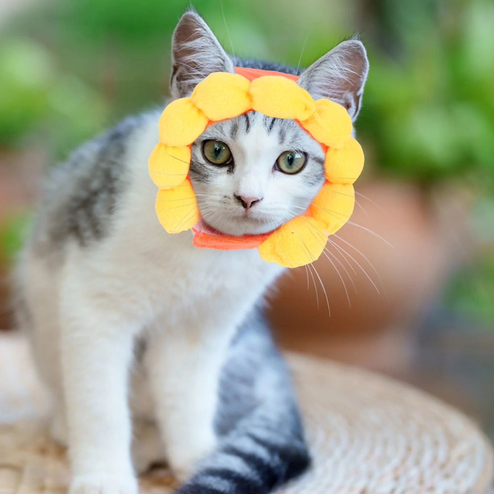 3 Pcs Pet Party Hat Dog Cat Costume Hats Puppy Dogs Cats Holiday Polyester Animal Bunny with Ears
3 Pcs Pet Party Hat Dog Cat Costume Hats Puppy Dogs Cats Holiday Polyester Animal Bunny with Ears