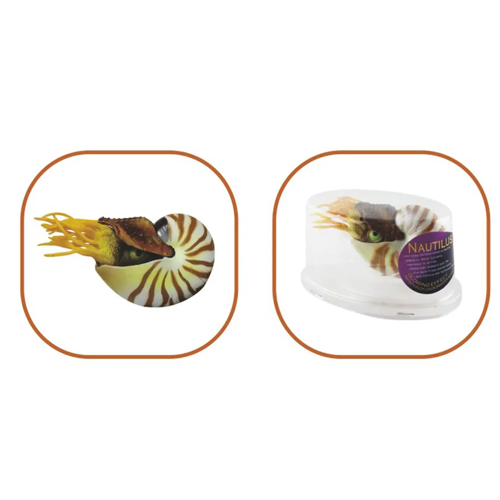 Creative Simulation Nautilus Decorative Shells Fish Tank Landscaping Ornament Aquarium Decor Bedroom Porch Decoration Sea Shell
Creative Simulation Nautilus Decorative Shells Fish Tank Landscaping Ornament Aquarium Decor Bedroom Porch Decoration Sea Shell