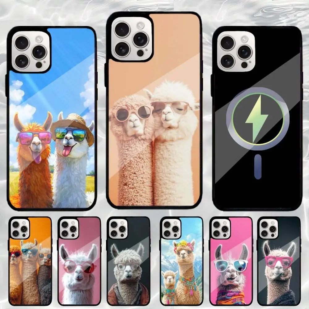 Funny Animals Alpaca Phone Case For iPhone17,16,15,14,13,12,11 Plus,Pro Max Magnetic Magsafe Wireless Charging
Funny Animals Alpaca Phone Case For iPhone17,16,15,14,13,12,11 Plus,Pro Max Magnetic Magsafe Wireless Charging