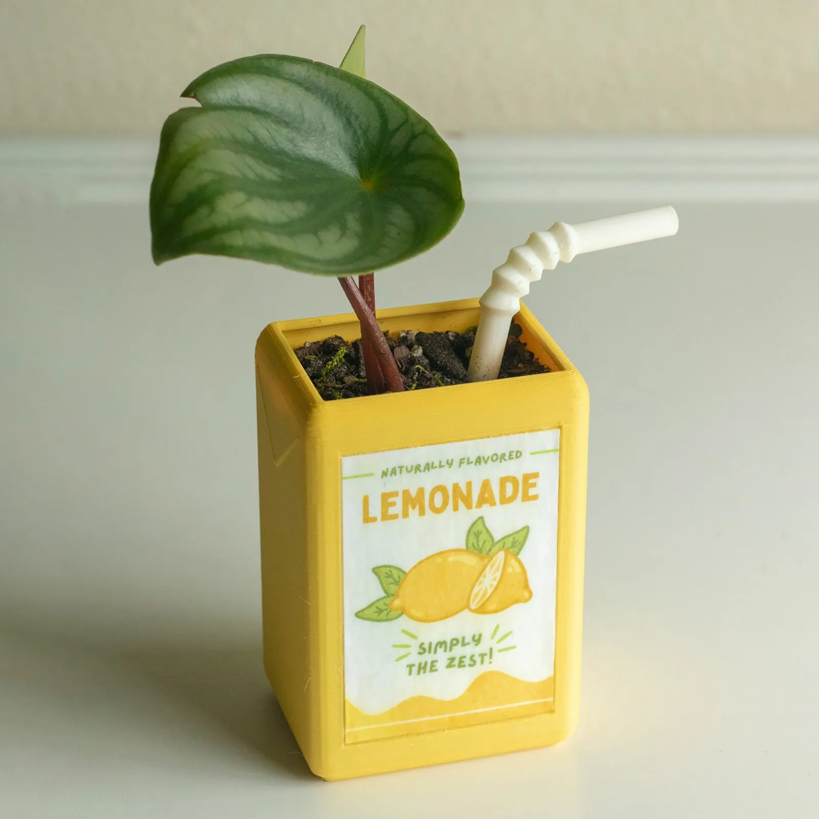 Creative Juice Box Shape Flower Pot Resin Small Funny Flowerpot Balconies And Windowsills Succulents Planters Home Decoration
Creative Juice Box Shape Flower Pot Resin Small Funny Flowerpot Balconies And Windowsills Succulents Planters Home Decoration