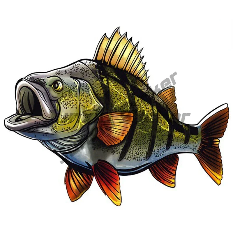 Rainbow Trout Peacock Perch Fish Sea Fishing Go Fishing Car Sticker Vinyl Self-adhesive Decal
Rainbow Trout Peacock Perch Fish Sea Fishing Go Fishing Car Sticker Vinyl Self-adhesive Decal