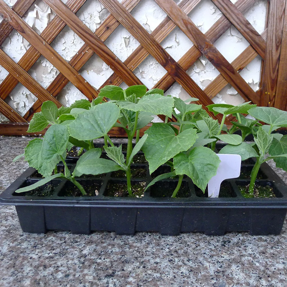 5 комплектов лотка для проращивания растений, 24 ячеек, съемная коробка для рассады, прозрачная крышка, маленькая ручка, гидропоника
5 комплектов лотка для проращивания растений, 24 ячеек, съемная коробка для рассады, прозрачная крышка, маленькая ручка, гидропоника