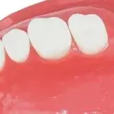 Dental Teaching Tooth Model 7004 Normal Adult Tooth Model Oral Dentistry Medical Dental Products
Dental Teaching Tooth Model 7004 Normal Adult Tooth Model Oral Dentistry Medical Dental Products