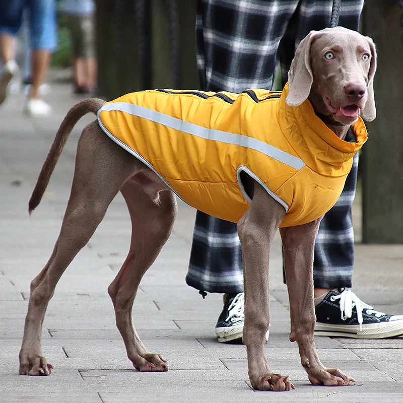 Outdoor Dog Clothes Winter Warm Large Jacket Coat Pet Items Ropa Perro Mascotas Accessories Waterproof Thickened Reflective
Outdoor Dog Clothes Winter Warm Large Jacket Coat Pet Items Ropa Perro Mascotas Accessories Waterproof Thickened Reflective