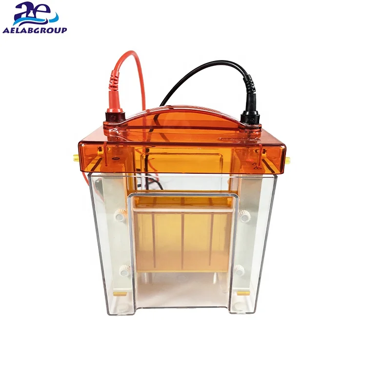 Good Price Vertical DNA Agarose Preparative Gel Electrophoresis System Machine
Good Price Vertical DNA Agarose Preparative Gel Electrophoresis System Machine