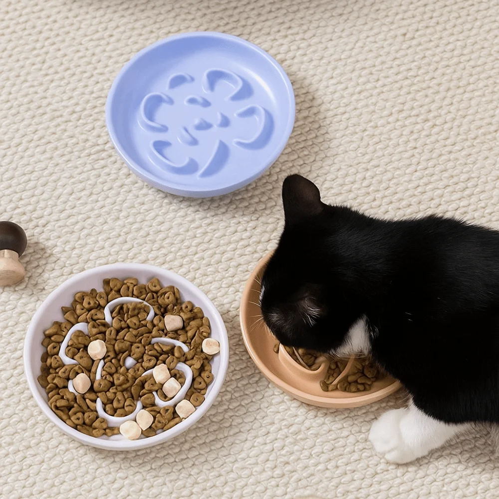 Pet Supplies Ceramic Cat Slow Food Bowl Anti Tipping Non-slip Dog Feeding Basin Large Capacity Pet Food Container for Feeding
Pet Supplies Ceramic Cat Slow Food Bowl Anti Tipping Non-slip Dog Feeding Basin Large Capacity Pet Food Container for Feeding