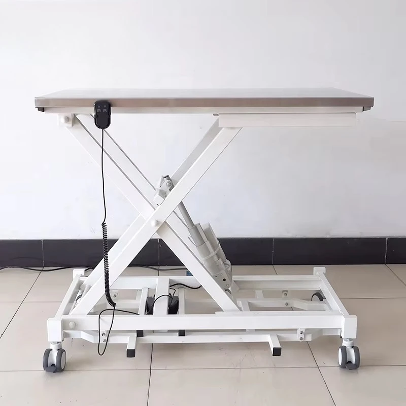LZS-15 Stainless Steel Electric Lifting Veterinary Examination Table with Adjustable Height & Mobile Base 110-220V Dog Use
LZS-15 Stainless Steel Electric Lifting Veterinary Examination Table with Adjustable Height & Mobile Base 110-220V Dog Use