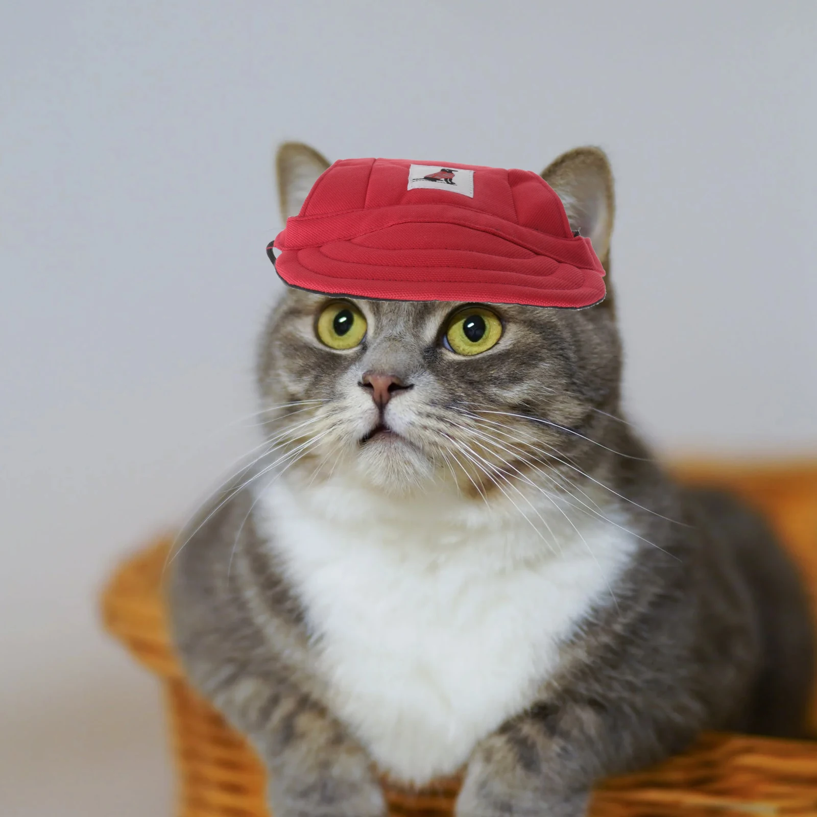 Dog Baseball Visor Pet Outdoor Hats for Dogs Birthday Travel Sport Small Mesh Puppy
Dog Baseball Visor Pet Outdoor Hats for Dogs Birthday Travel Sport Small Mesh Puppy