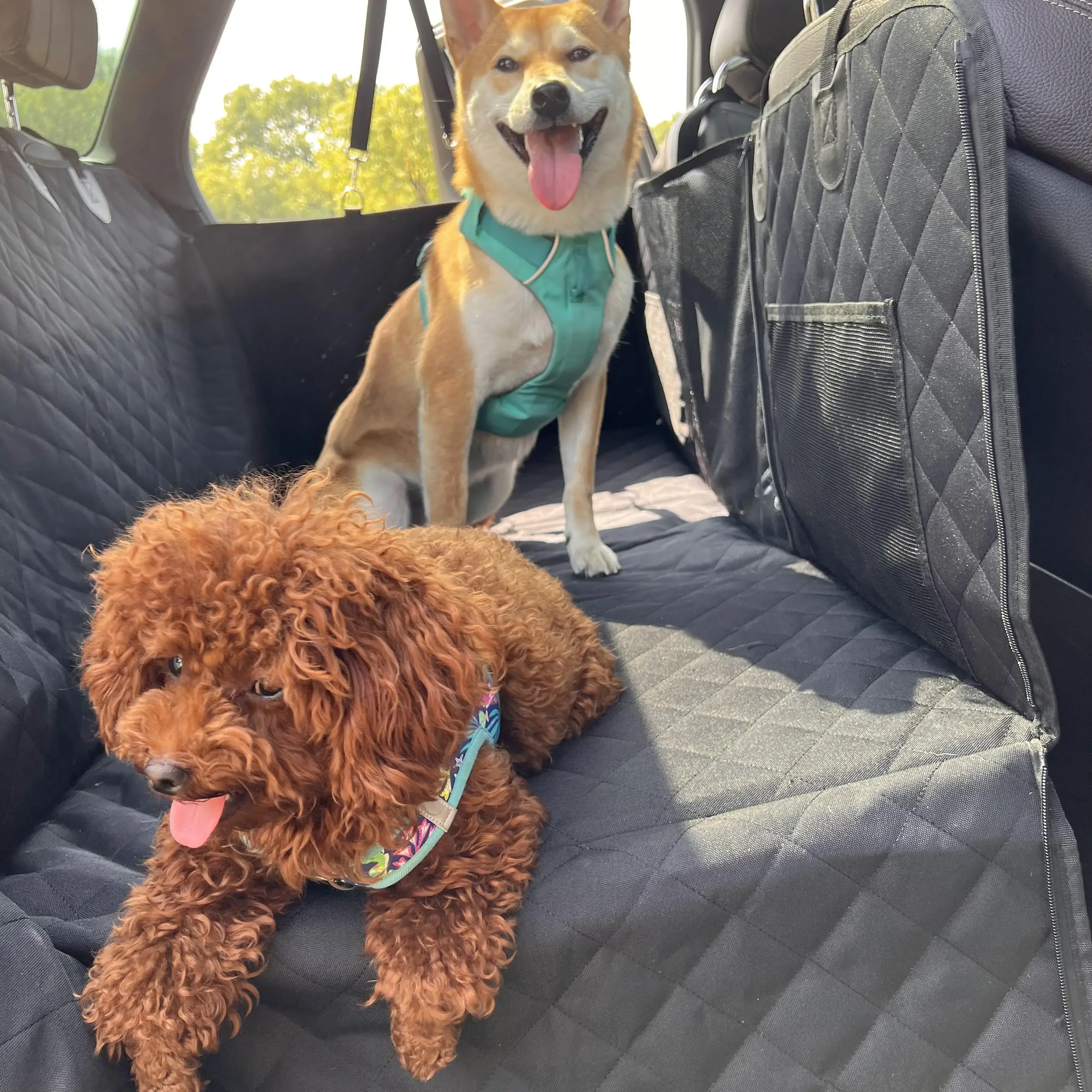 Deluxe Dog Car Seat Cover with Extender Non-Slip Pet Hammock for Backseat Protection Breathable Mesh Window & Storage Pockets
Deluxe Dog Car Seat Cover with Extender Non-Slip Pet Hammock for Backseat Protection Breathable Mesh Window & Storage Pockets