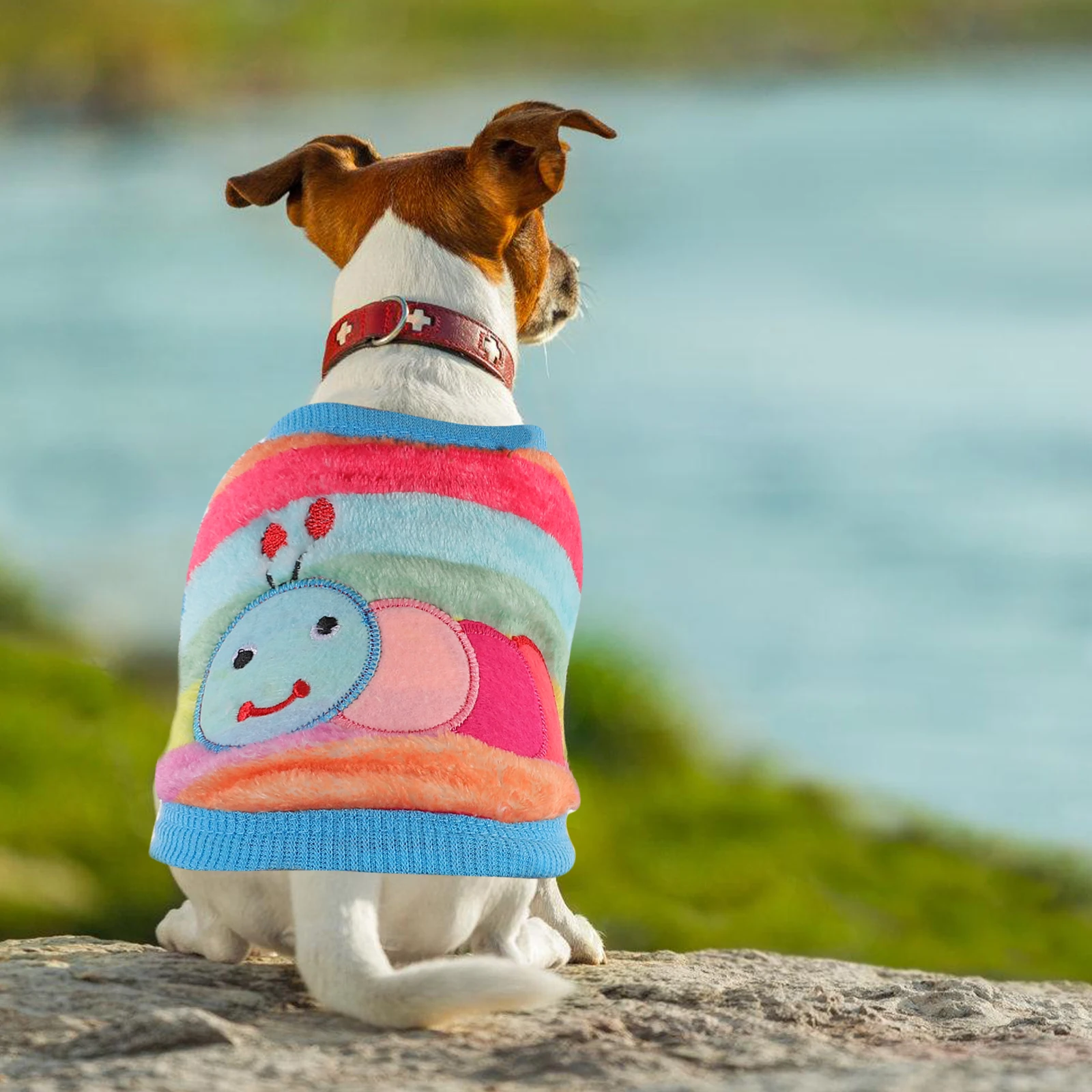 Fashion Pet Dog Clothes Autumn Winter Warm Vest Puppy Coats Sweaters Cute Outfits for Small Dogs Chihuahua Caterpillar Pig Tee
Fashion Pet Dog Clothes Autumn Winter Warm Vest Puppy Coats Sweaters Cute Outfits for Small Dogs Chihuahua Caterpillar Pig Tee