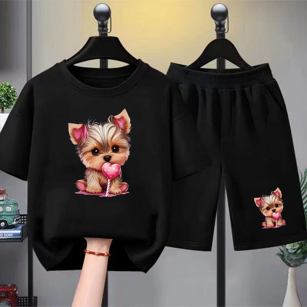 Yorkshire Terrier Martial Arts Print Summer Short Sleeve Children Age 3-12 Girls boy Set black Tshirt+Shorts 2pcs Kids Set
Yorkshire Terrier Martial Arts Print Summer Short Sleeve Children Age 3-12 Girls boy Set black Tshirt+Shorts 2pcs Kids Set