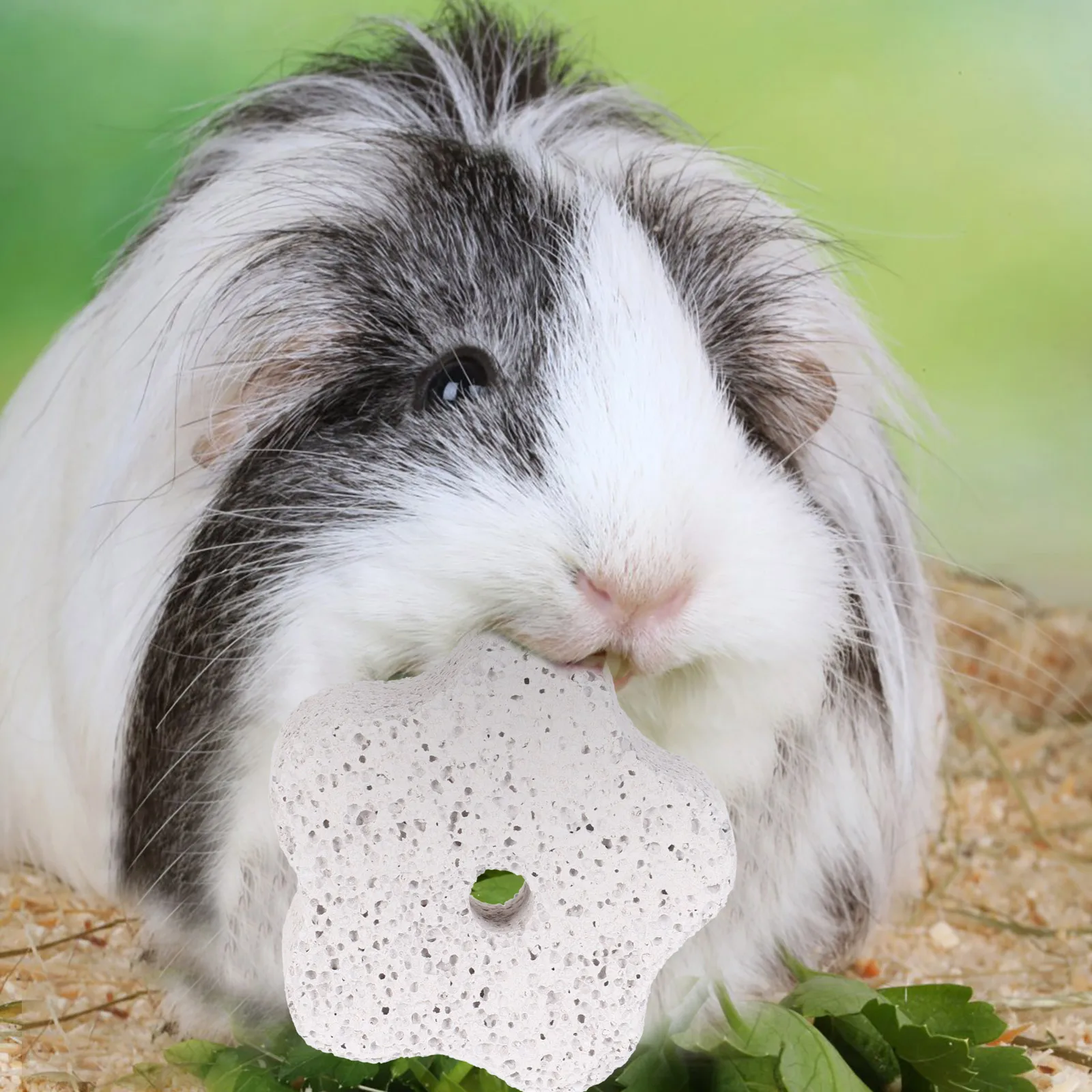 15Pcs Small Pet Molar Stones Rabbits Hamsters Teeth Grinding Chewing Aid Protect Shoes Furniture Pet Teeth Care
15Pcs Small Pet Molar Stones Rabbits Hamsters Teeth Grinding Chewing Aid Protect Shoes Furniture Pet Teeth Care