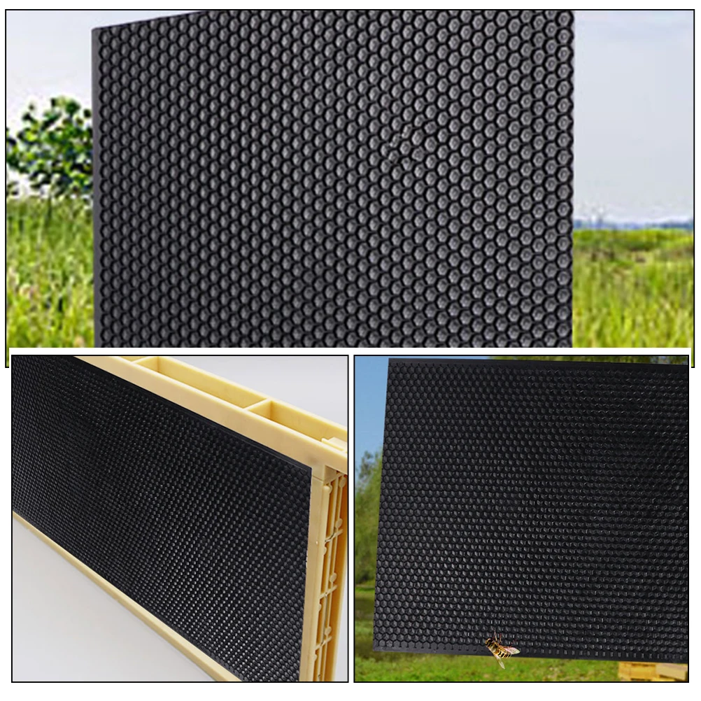 5 Pcs Plastic Nest Foundation Bee Frame Beekeeping Tool Beehive Wax with Frames Honey
5 Pcs Plastic Nest Foundation Bee Frame Beekeeping Tool Beehive Wax with Frames Honey