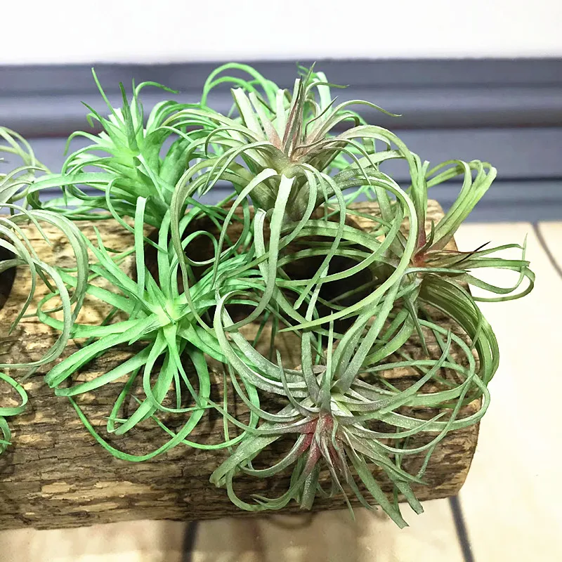 18CM Artificial Succulent Plants Simulation Pineapple Grass Plastic Fake Aloe Landscaping Christmas Party Home Decor Accessories
18CM Artificial Succulent Plants Simulation Pineapple Grass Plastic Fake Aloe Landscaping Christmas Party Home Decor Accessories