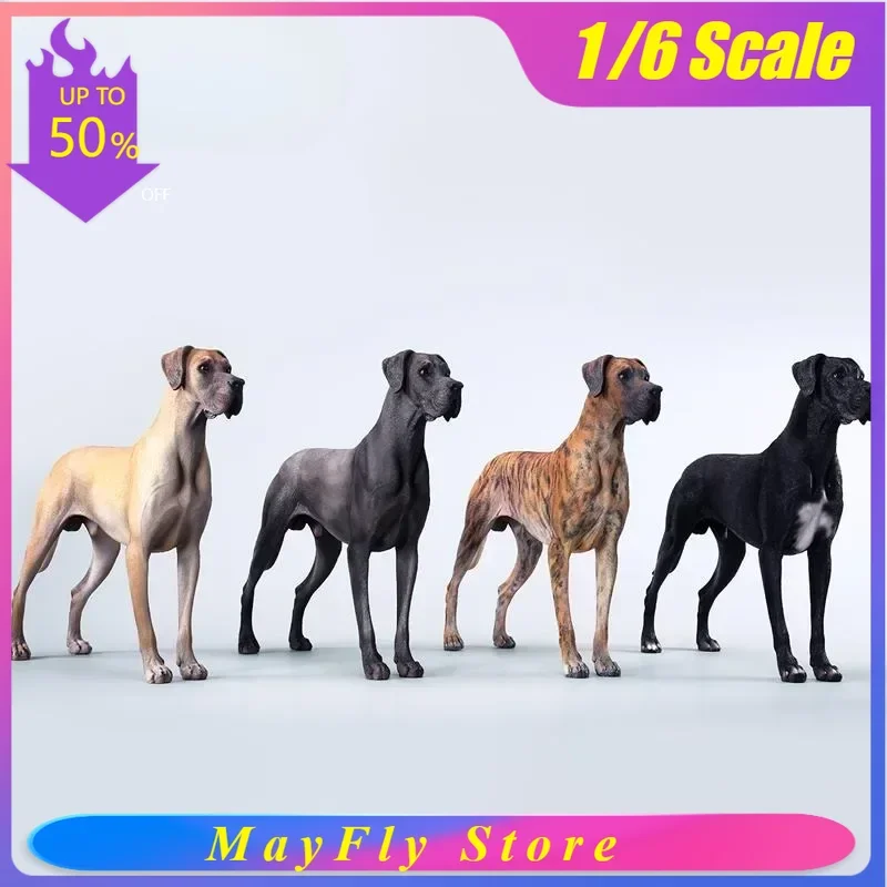 In Stock JXK 1/6 Scale Simulated Resin Great Dane Dog Model Car/desk Accessories Animal Model for 12in Action Figure Decoration
In Stock JXK 1/6 Scale Simulated Resin Great Dane Dog Model Car/desk Accessories Animal Model for 12in Action Figure Decoration
