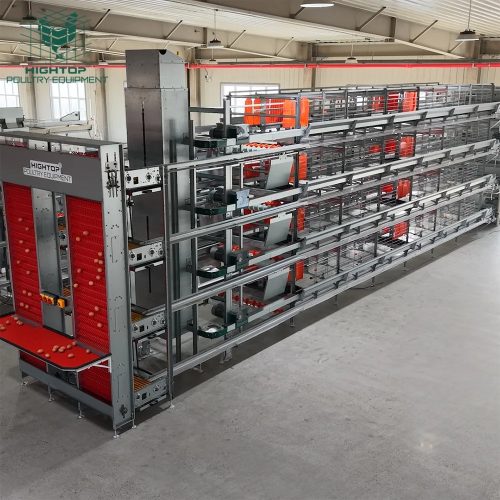 Factory Price Easy Installation Galvanized Steel Mesh Enriched Layer Chicken Cages System for Commercial Chicken Farm
Factory Price Easy Installation Galvanized Steel Mesh Enriched Layer Chicken Cages System for Commercial Chicken Farm