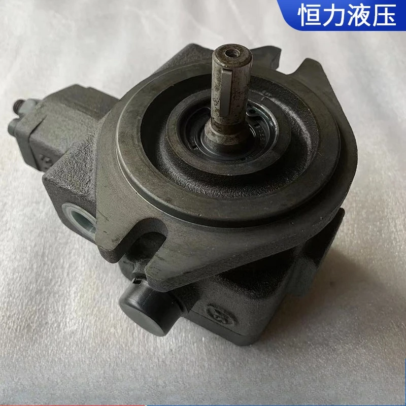 Vane VP-12FA3/20FA3/30FA3/40FA3 Single-link Duplex Variable Hydraulic Oil Pump
Vane VP-12FA3/20FA3/30FA3/40FA3 Single-link Duplex Variable Hydraulic Oil Pump