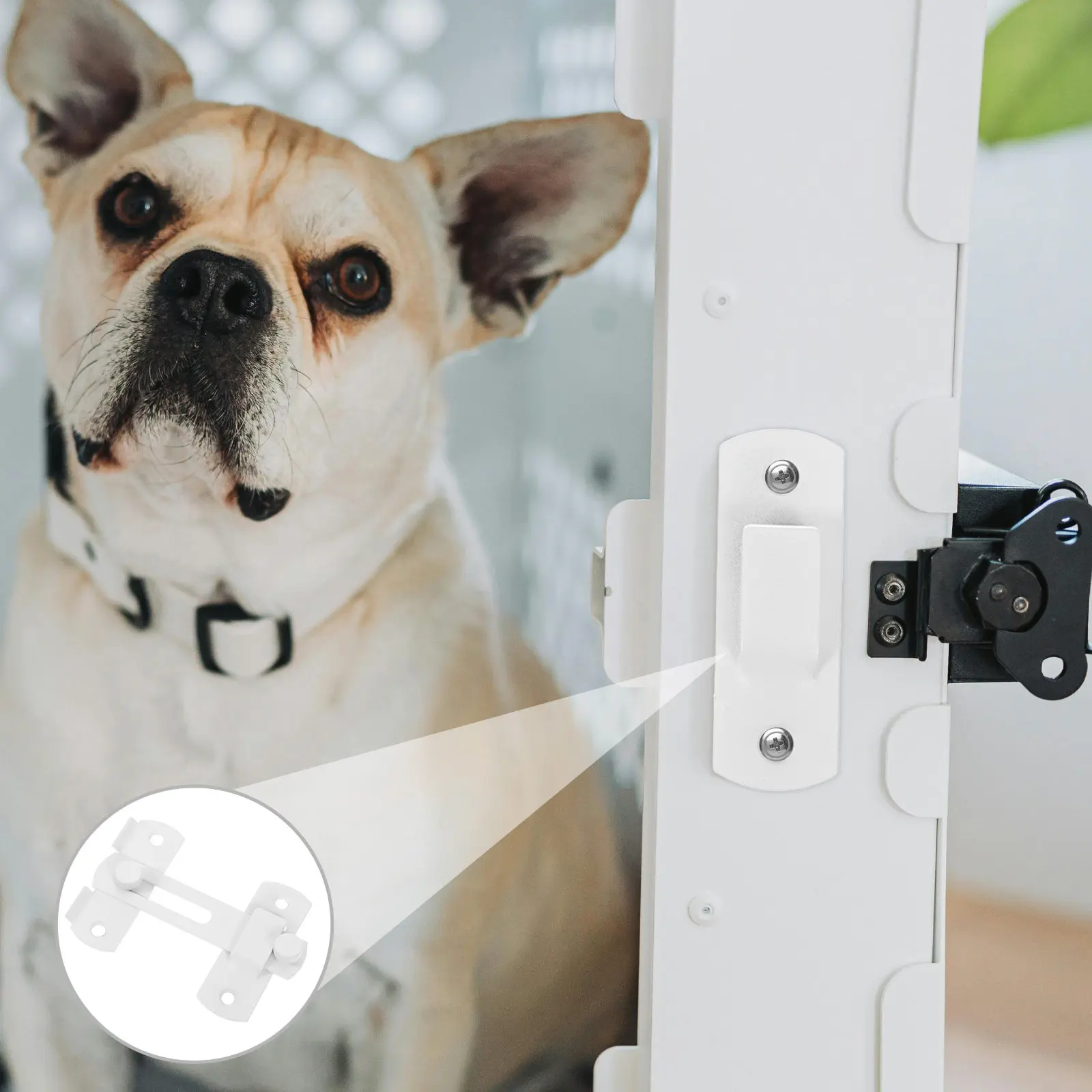 Heavy Duty Stainless Steel Sliding Bolt Latch Lock for Safety Gate Pet Enclosure Door Barn Sliding Door Farm Garden Fence Lock
Heavy Duty Stainless Steel Sliding Bolt Latch Lock for Safety Gate Pet Enclosure Door Barn Sliding Door Farm Garden Fence Lock