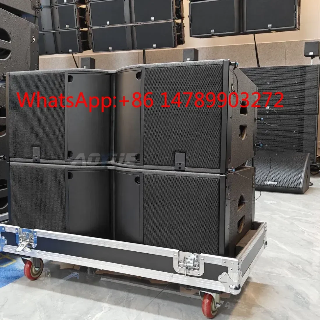Dual 12 Inch Passive Line Array Speaker, New Stage Audio System
Dual 12 Inch Passive Line Array Speaker, New Stage Audio System