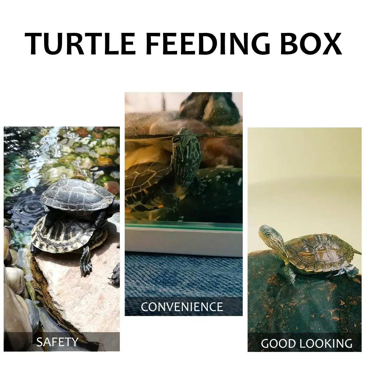 Turtle Tank Drying Platform High Grade PP Material Large Space Aquarium Reptile Fish Tank Lid Easy Cleaning Spacious Comfortable
Turtle Tank Drying Platform High Grade PP Material Large Space Aquarium Reptile Fish Tank Lid Easy Cleaning Spacious Comfortable