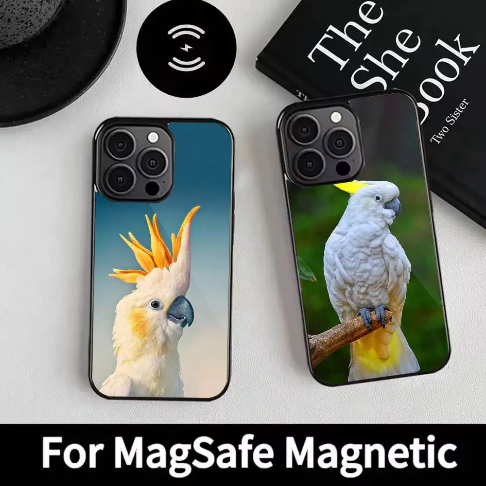 cockatoos Phone Case For iPhone 17,16,15,14,13,12,Plus,Pro,Max for Magsafe Magnetic Wireless Charging
cockatoos Phone Case For iPhone 17,16,15,14,13,12,Plus,Pro,Max for Magsafe Magnetic Wireless Charging