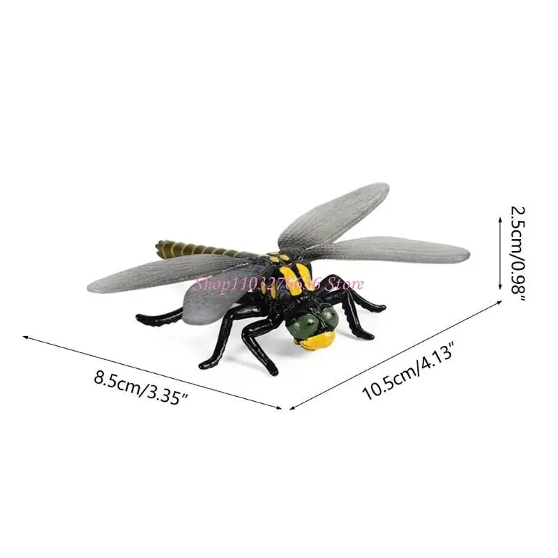 R6FD Realistic Spiders Figurine Perfect for Home and Office Display Set
R6FD Realistic Spiders Figurine Perfect for Home and Office Display Set