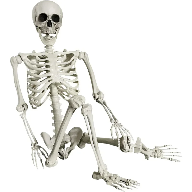 Halloween 2 meters big skull skeleton ornament props teaching human bone secret room outdoor
Halloween 2 meters big skull skeleton ornament props teaching human bone secret room outdoor