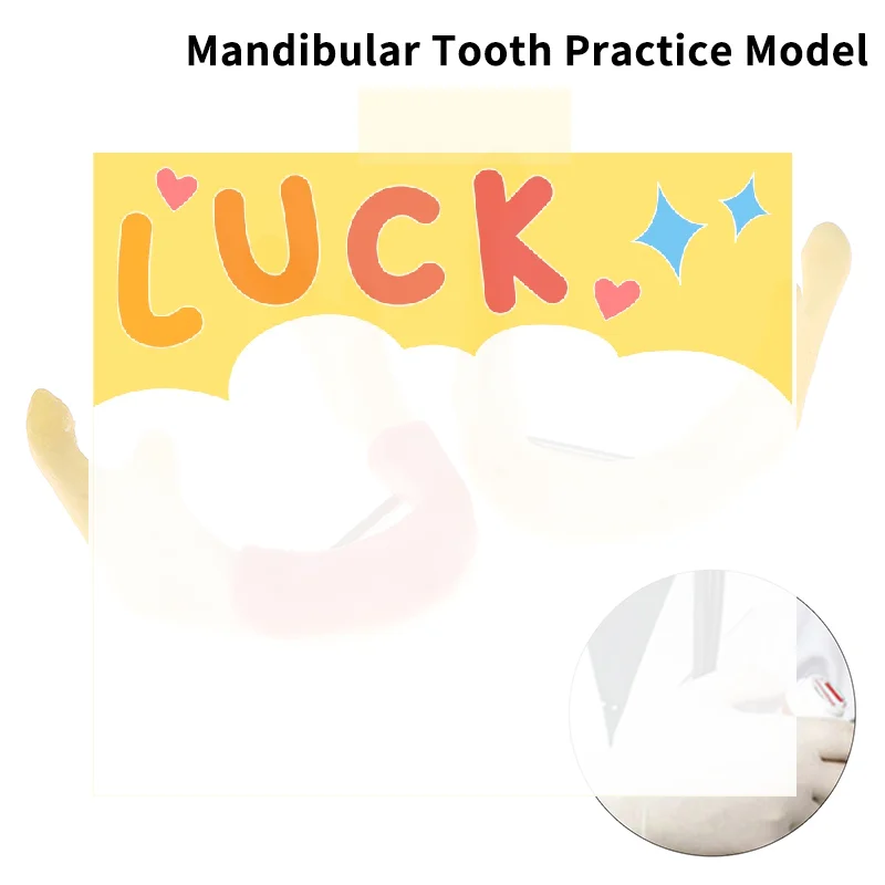 Dental Treatment Model Anatomy Of Gums Gingiva Mandible Tissue Model Dentist Teach Study Demonstration Teeth Model Dental Lab
Dental Treatment Model Anatomy Of Gums Gingiva Mandible Tissue Model Dentist Teach Study Demonstration Teeth Model Dental Lab