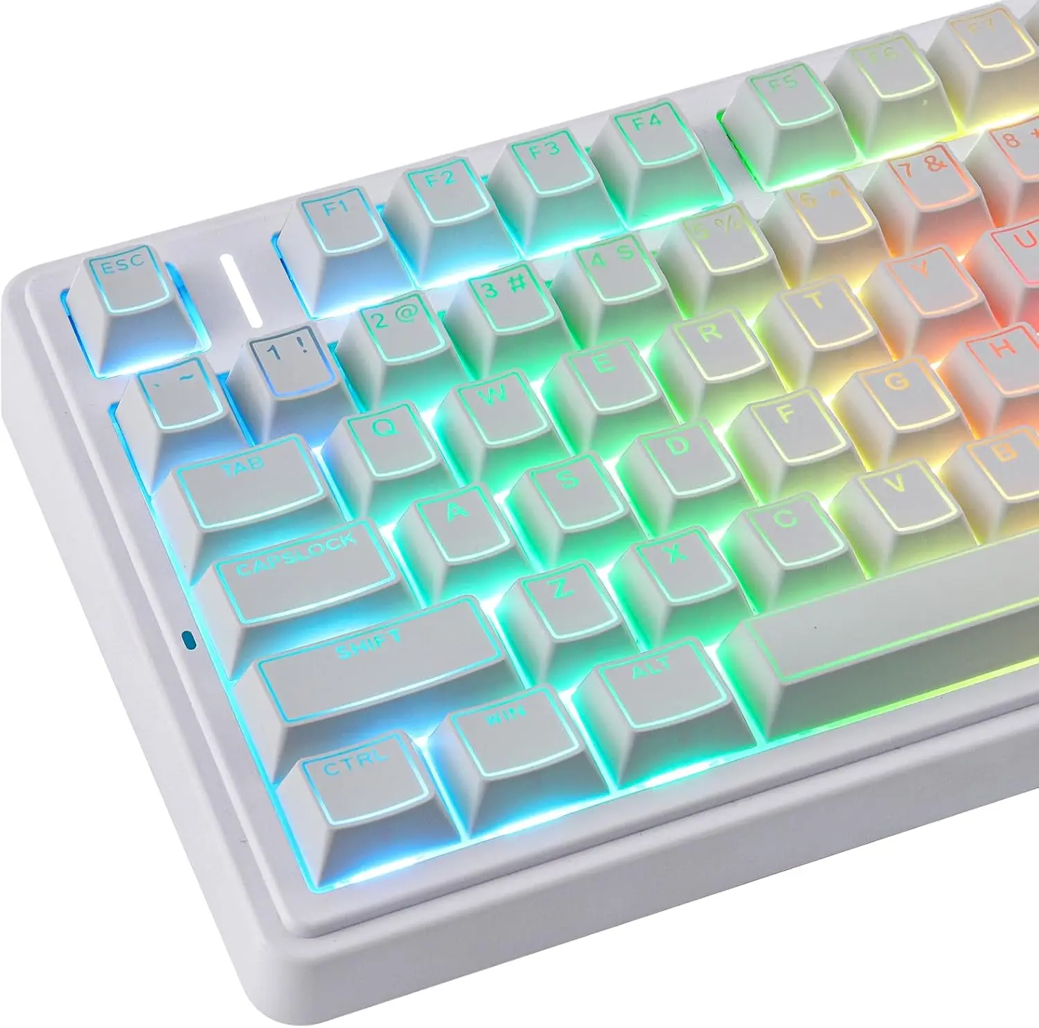 PBT Keycaps - Shine Through Double Shot Keycaps 142 Keys Cherry Profile Backlit Key caps for Cherry MX Switches 60 65 75 100 Pe
PBT Keycaps - Shine Through Double Shot Keycaps 142 Keys Cherry Profile Backlit Key caps for Cherry MX Switches 60 65 75 100 Pe