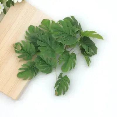 Artificial Leaves Pendant Lifelike Reptile Tank Decor No Watering Needed Easy to Clean Reptile Plants for Terrarium
Artificial Leaves Pendant Lifelike Reptile Tank Decor No Watering Needed Easy to Clean Reptile Plants for Terrarium