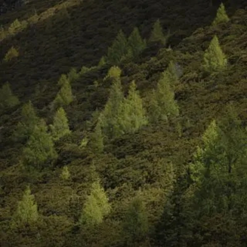 Комплект рамы iFlight Defender 20 Lite O4 FPV, колесная база 87 мм, 2 дюйма, защита пропеллера для деталей гоночного дрона FPV
Комплект рамы iFlight Defender 20 Lite O4 FPV, колесная база 87 мм, 2 дюйма, защита пропеллера для деталей гоночного дрона FPV