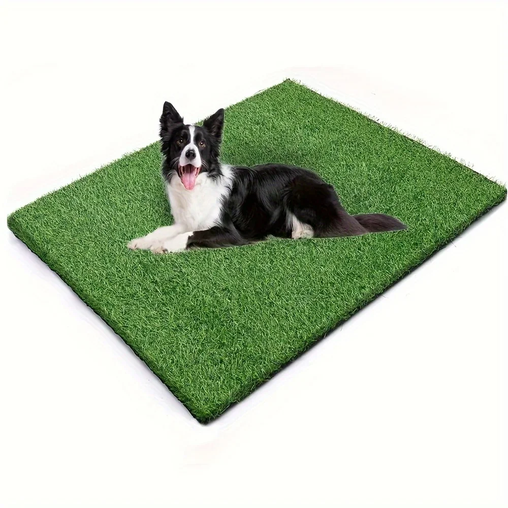 24.4X39In Dog Potty Grass Pad – Artificial Grass Pee Pads for Dogs Potty Training Indoor Outdoor, Soft And Easy Cleaning Fake Grass Mat for Pets
24.4X39In Dog Potty Grass Pad – Artificial Grass Pee Pads for Dogs Potty Training Indoor Outdoor, Soft And Easy Cleaning Fake Grass Mat for Pets