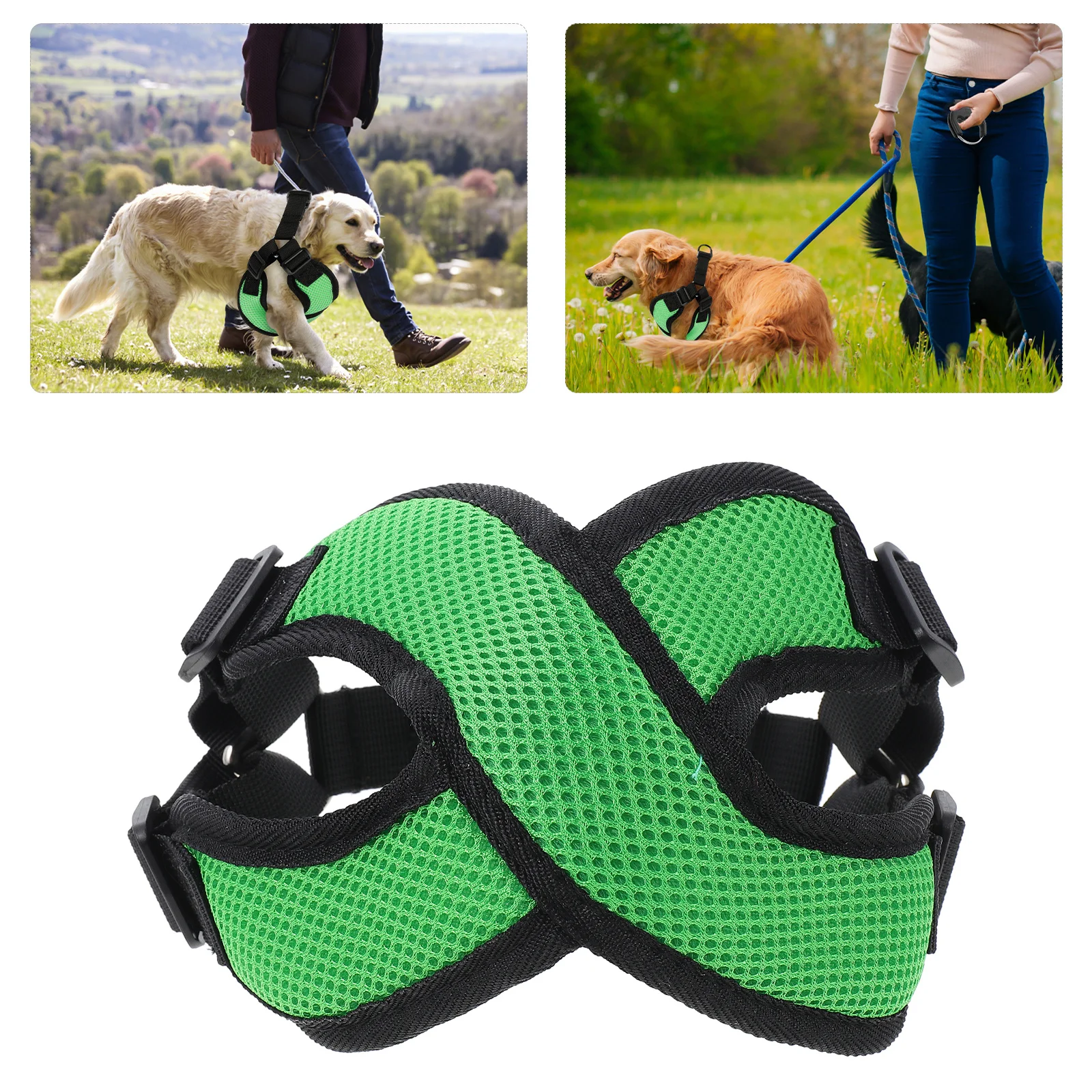 Breathable Adjustable Pet Harness Chest Strap No-Pull Dog Vest Durable Mesh Vest for Walking Daily Use Pet Walking Supplies
Breathable Adjustable Pet Harness Chest Strap No-Pull Dog Vest Durable Mesh Vest for Walking Daily Use Pet Walking Supplies