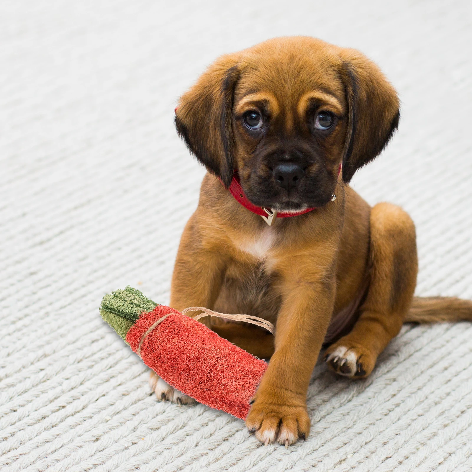 Creative Carrot Pet For Dogs Rabbits Cats Natural Chew Molar Dental Fun Plant Processed Non-Toxic Bright Vivid Color
Creative Carrot Pet For Dogs Rabbits Cats Natural Chew Molar Dental Fun Plant Processed Non-Toxic Bright Vivid Color