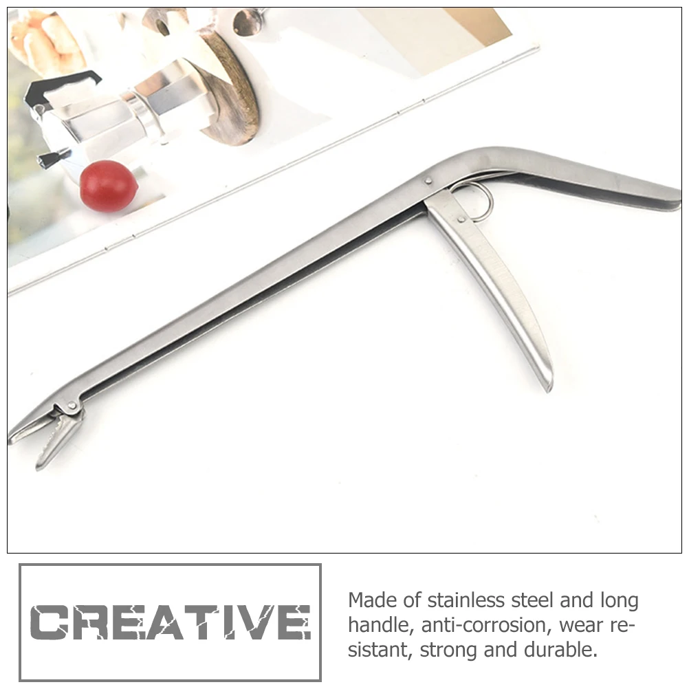 Stainless Steel Fish Hook Remover Durable Fishing Equipment Reusable Gear Long H Corrosion Resistant Catfish Carp
Stainless Steel Fish Hook Remover Durable Fishing Equipment Reusable Gear Long H Corrosion Resistant Catfish Carp