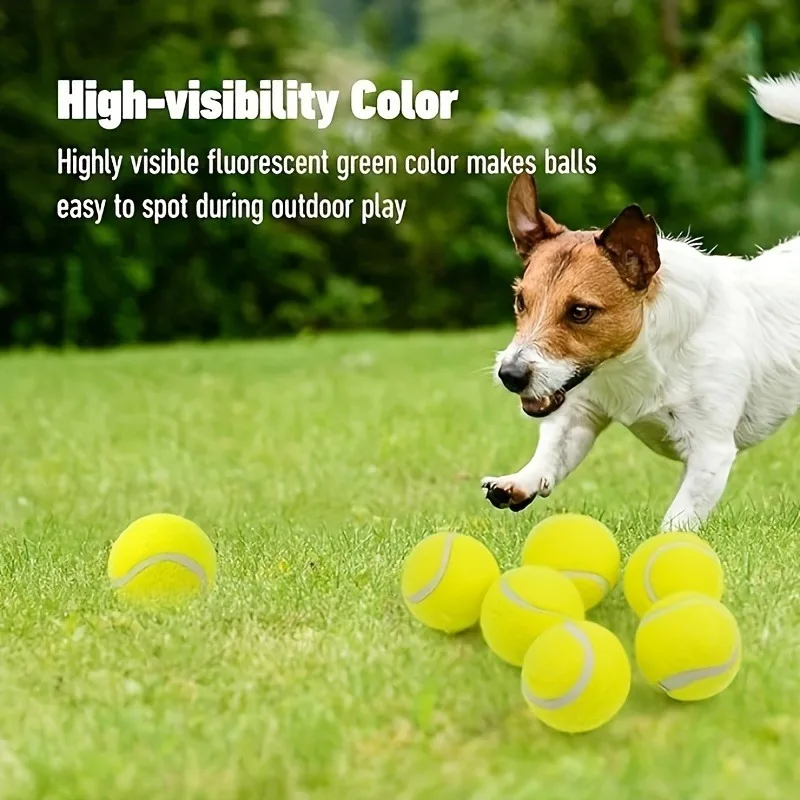 Interactive Dog Tennis Balls - 2.4' High-Bounce Rubber Balls for Small to Medium Breeds, Without Battery
Interactive Dog Tennis Balls - 2.4' High-Bounce Rubber Balls for Small to Medium Breeds, Without Battery