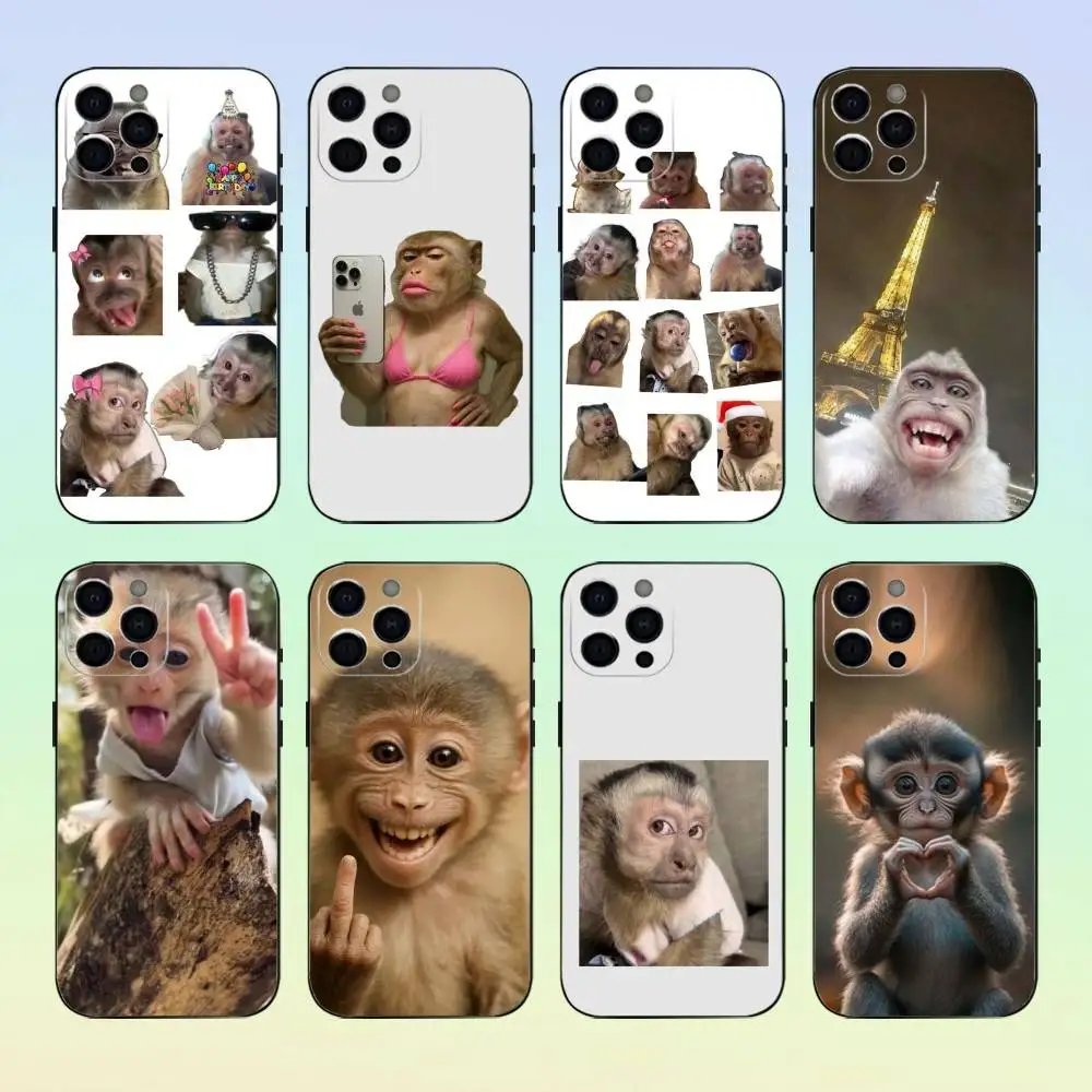 Cute Funny Monkey Phone Case For iPhone17,16,15,14,13,12,11 Plus,Pro Max Soft Black Cover
Cute Funny Monkey Phone Case For iPhone17,16,15,14,13,12,11 Plus,Pro Max Soft Black Cover