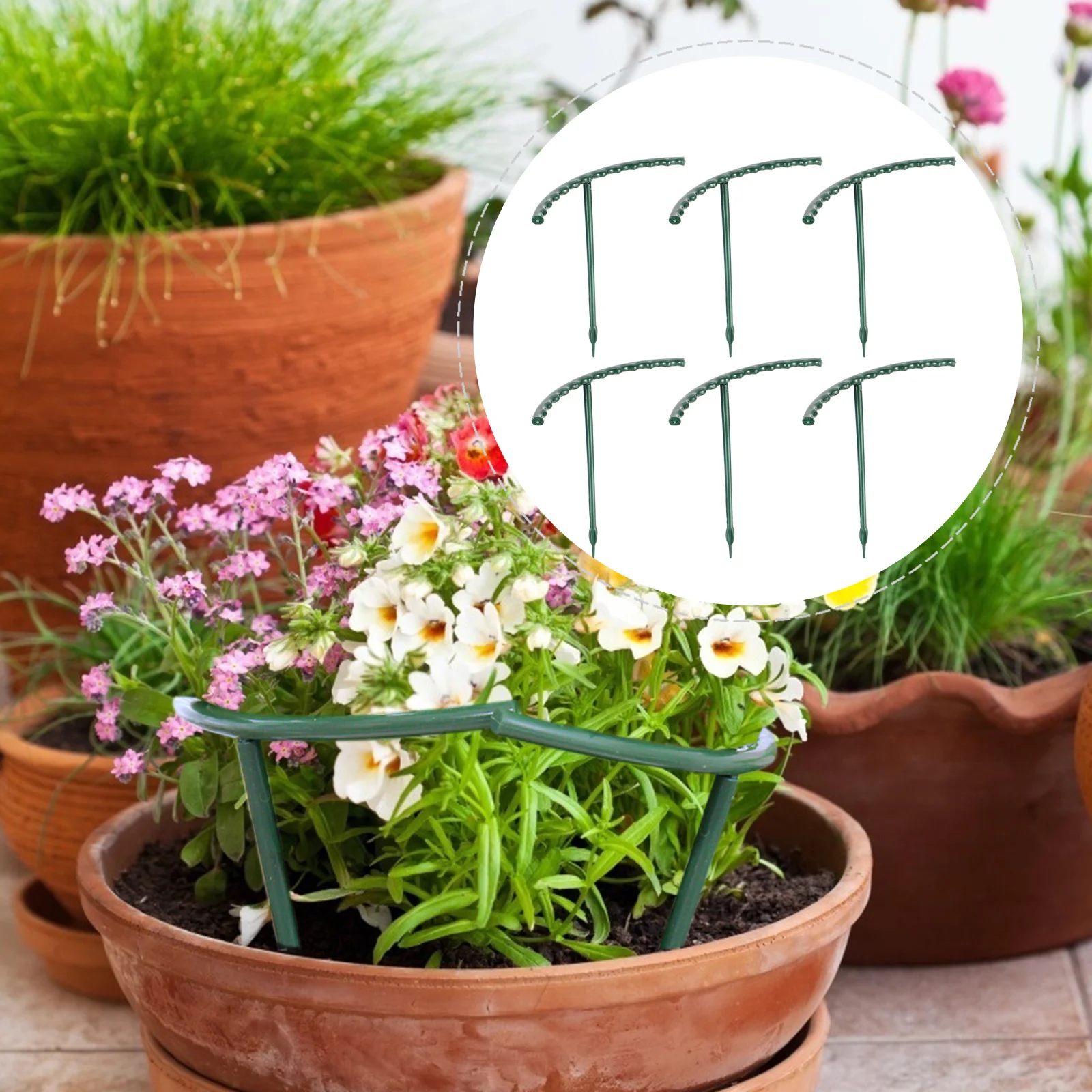 12Pcs Plant Support Brackets Plastic Climbing Frame for Potted Plants Plant Holder Adjustable Rack for Beans Tomatoes Cucumbers
12Pcs Plant Support Brackets Plastic Climbing Frame for Potted Plants Plant Holder Adjustable Rack for Beans Tomatoes Cucumbers