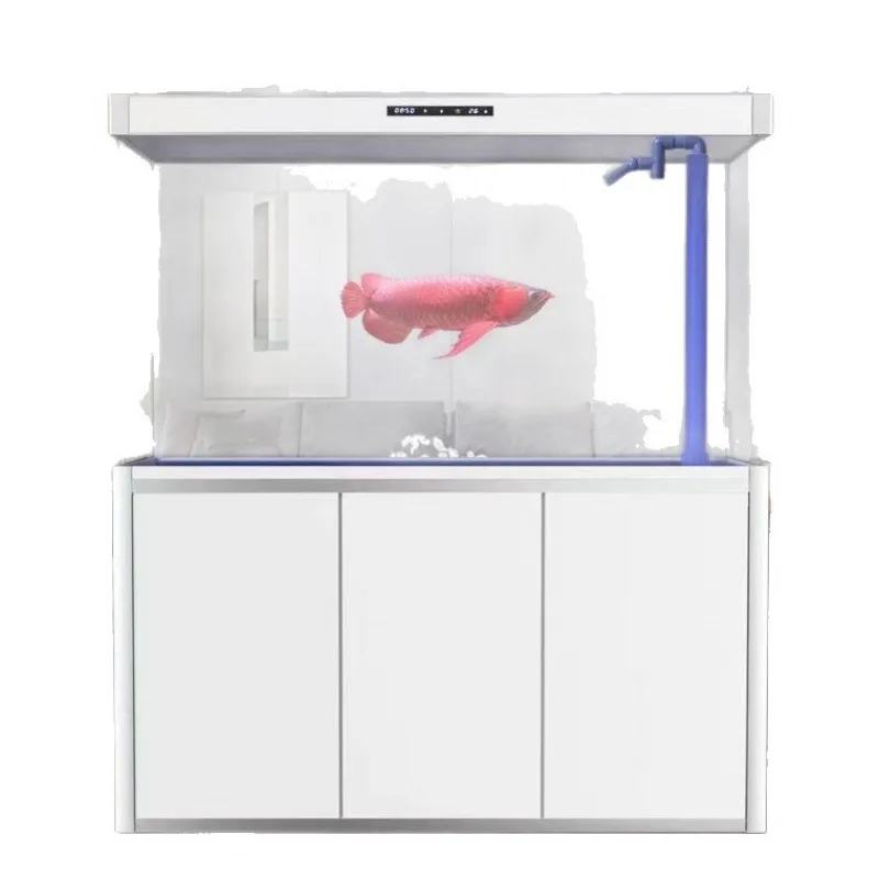 Medium and large arowana tank lucky filtration water-free ecology
Medium and large arowana tank lucky filtration water-free ecology