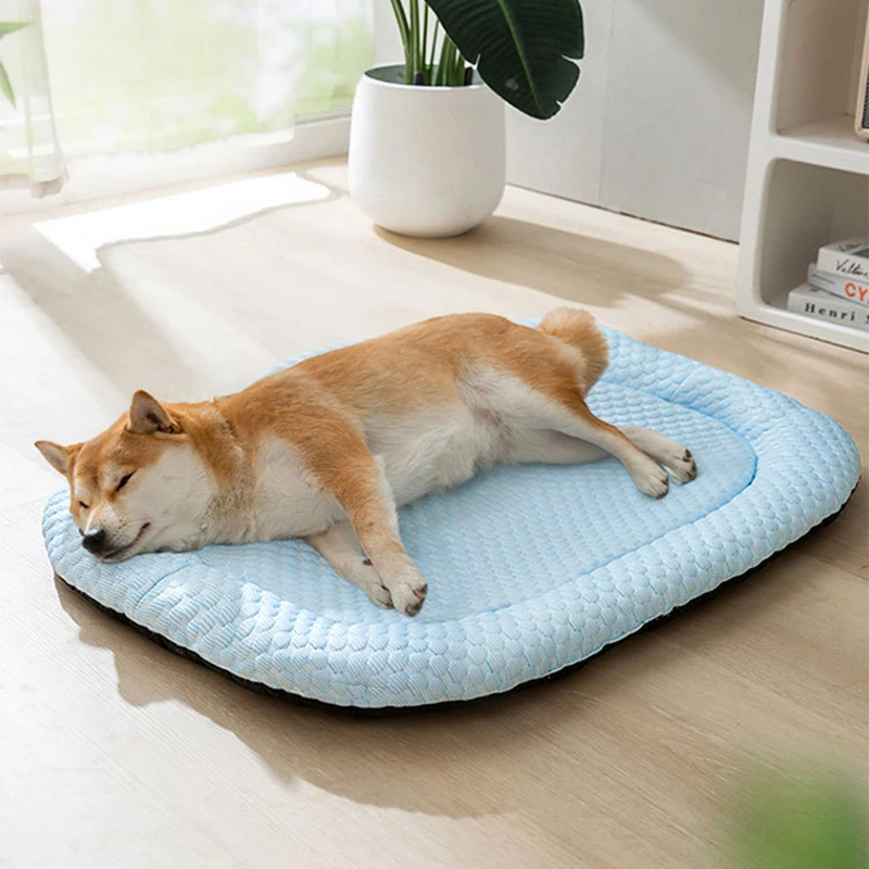 Pet Summer Cooling Bed Mat Dog Cat Universal Soft Non-slip Oversize Sleeping Mat with Pillow for Small Medium Dogs Pet Supplies
Pet Summer Cooling Bed Mat Dog Cat Universal Soft Non-slip Oversize Sleeping Mat with Pillow for Small Medium Dogs Pet Supplies