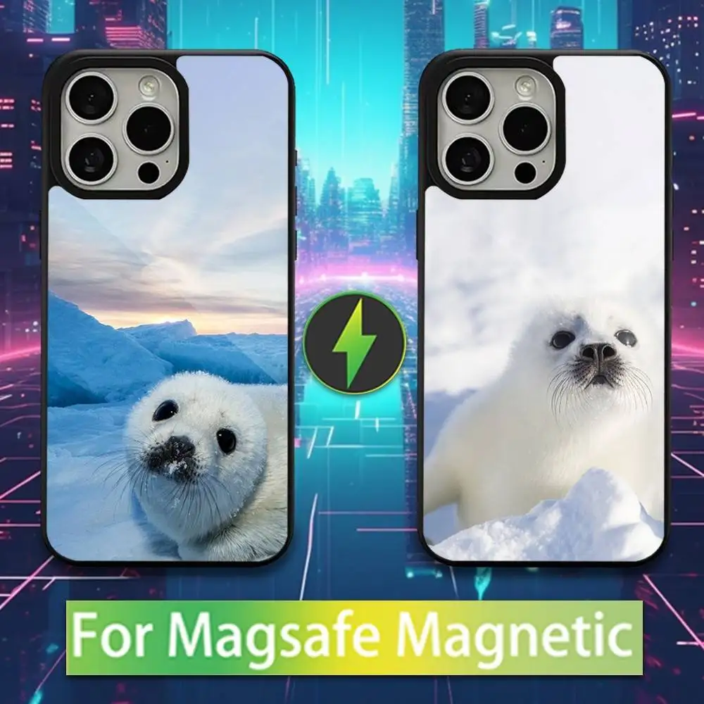 Animal Art Cute Seal Phone Case For iPhone 16,15,14,13,12,11,Pro,Max,Plus,Mini,Magsafe,Magnetic Wireless Charging Case
Animal Art Cute Seal Phone Case For iPhone 16,15,14,13,12,11,Pro,Max,Plus,Mini,Magsafe,Magnetic Wireless Charging Case