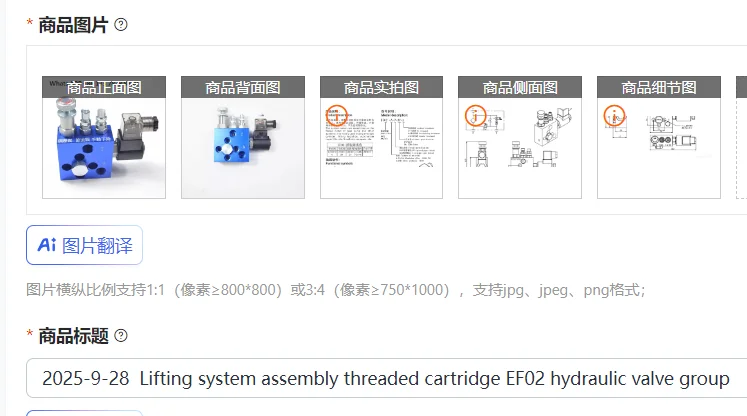 2025-09-28 Гидравлическая клапанная группа EF02 для сборки подъемных систем, резьбовой картридж
2025-09-28 Гидравлическая клапанная группа EF02 для сборки подъемных систем, резьбовой картридж