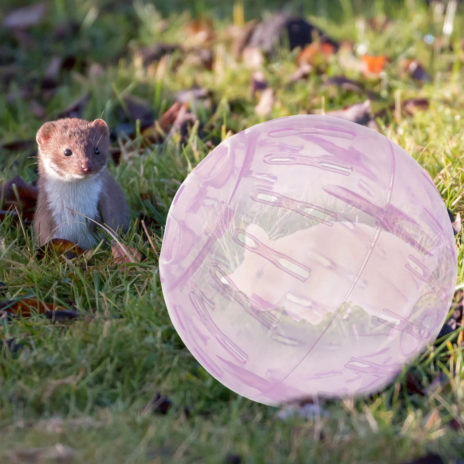 10 CM Hamster Running Ball Toy Small Pet about for Exercise Guinea Pig Cages Chinchilla
10 CM Hamster Running Ball Toy Small Pet about for Exercise Guinea Pig Cages Chinchilla