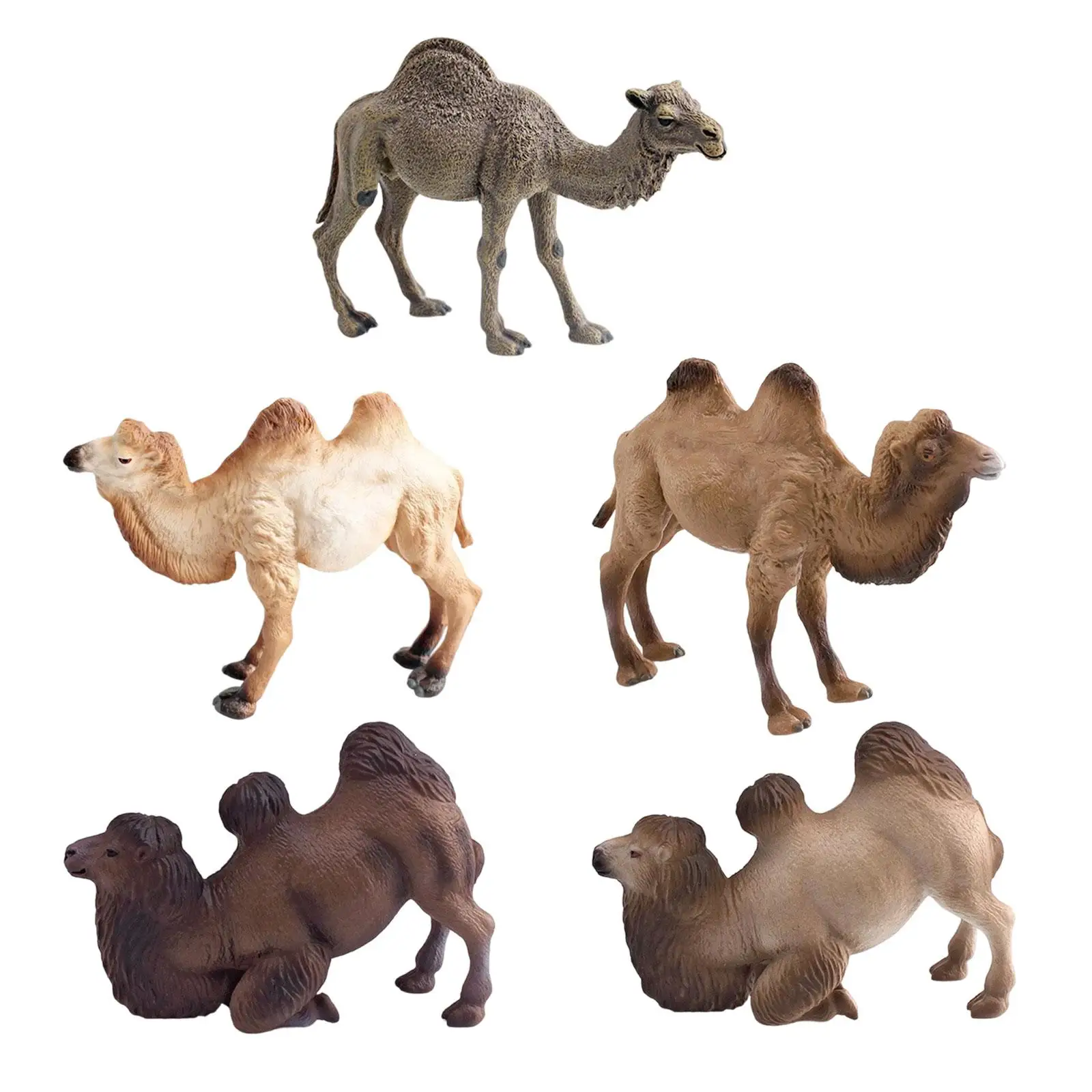 Miniature Figurine Animal Sculpture Figure Collectible Desktop Ornaments
Miniature Figurine Animal Sculpture Figure Collectible Desktop Ornaments