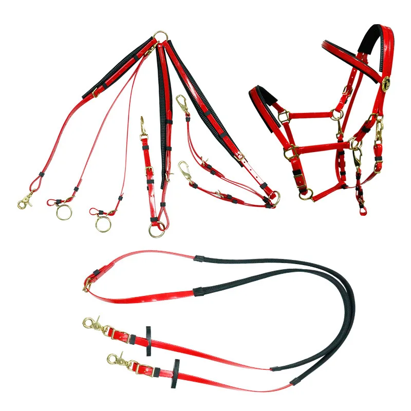 Full Set Western Saddle Horse Endurance Riding Bridle Equipment PVC Leather and Nylon for Horse Riding Enthusiasts 2
Full Set Western Saddle Horse Endurance Riding Bridle Equipment PVC Leather and Nylon for Horse Riding Enthusiasts 2