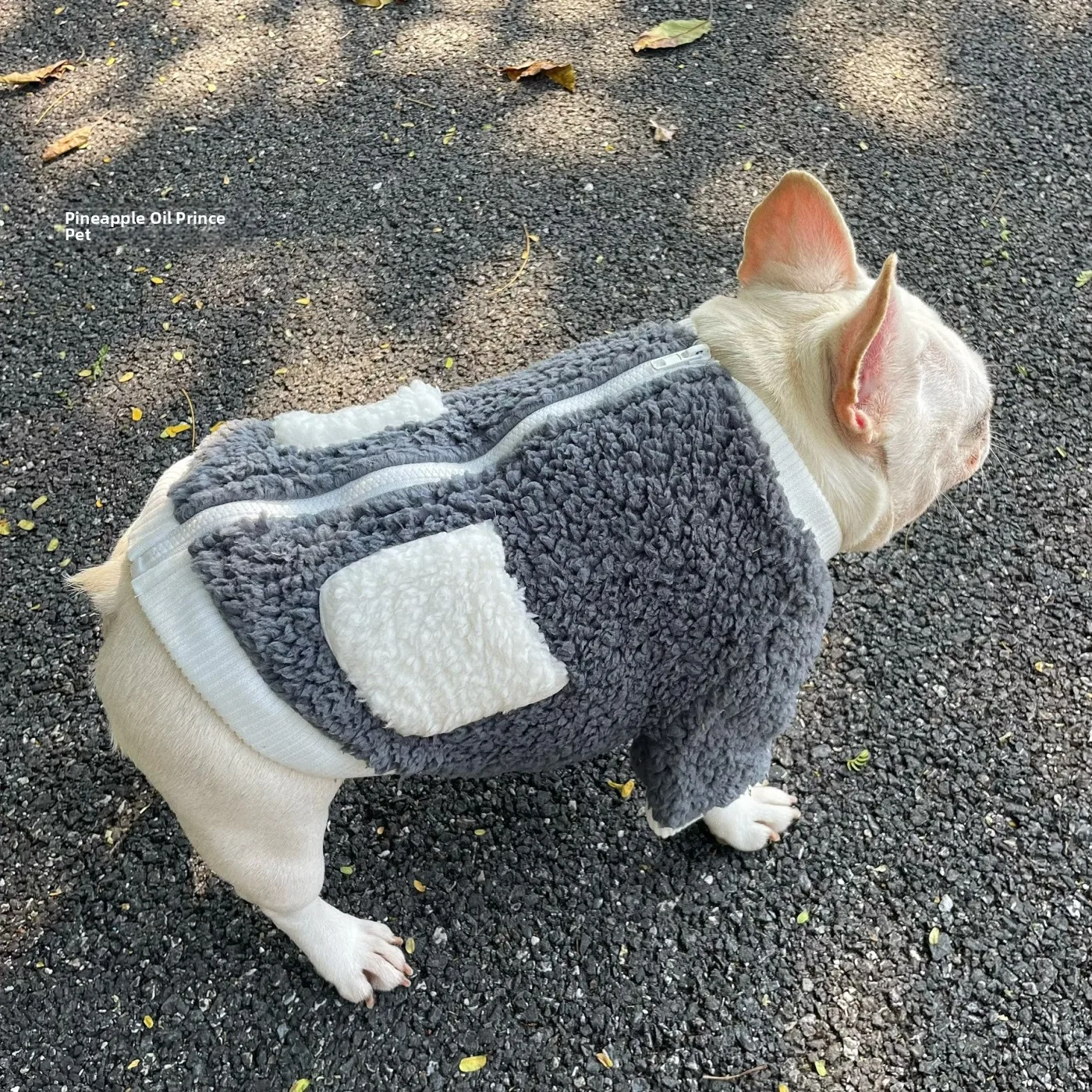 Thickened Double Layer Pet Clothes for Dogs Autumn Winter Warm Zipper Plush Dog Sweater Comfortable Casual Style Polyester Fa...
Thickened Double Layer Pet Clothes for Dogs Autumn Winter Warm Zipper Plush Dog Sweater Comfortable Casual Style Polyester Fa...