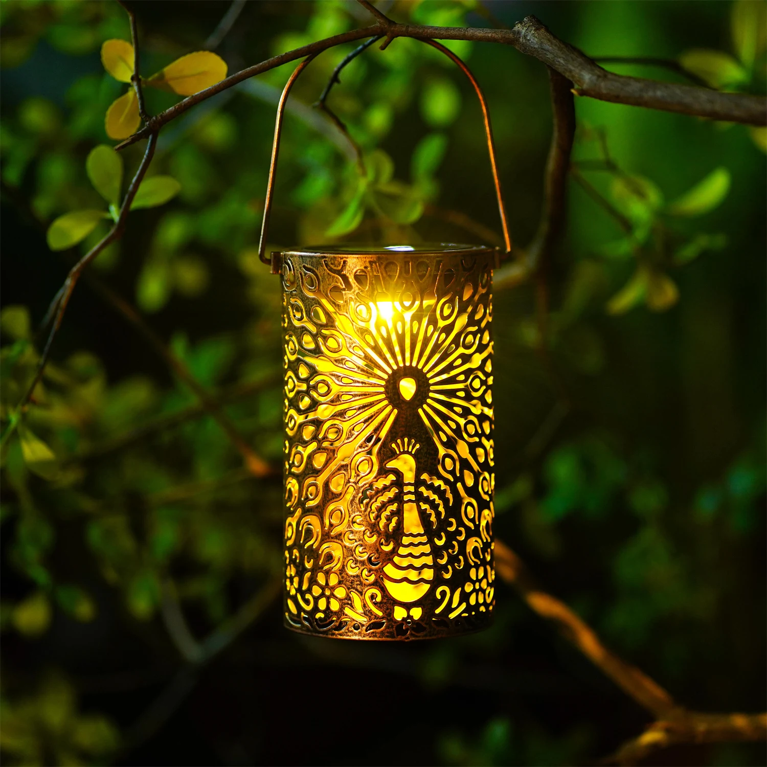 1 шт. павлин пион цветок солнечный фонарь уличные фонари садовые декоративные фонари на солнечных батареях праздничный подарок
1 шт. павлин пион цветок солнечный фонарь уличные фонари садовые декоративные фонари на солнечных батареях праздничный подарок